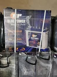 Blue Power Inverter Tubular Battery 220Ah
